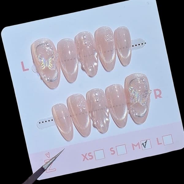 Bướm Sò Mắt Mèo (Oval)